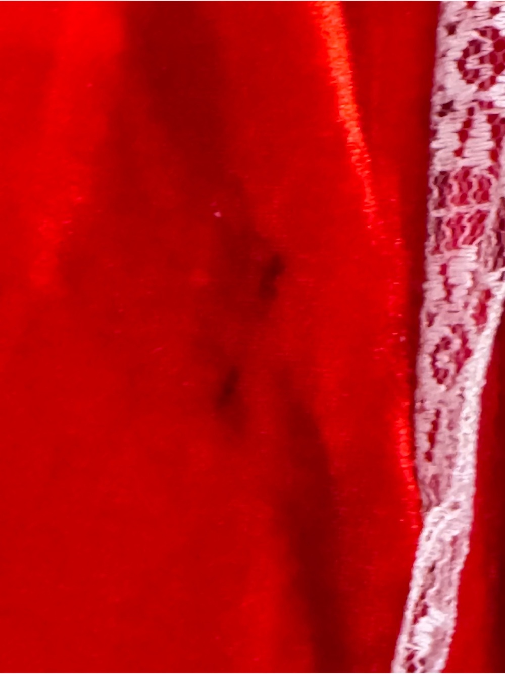 Playboy Red Velvet Little Red Riding Hood Costume Dress with White Lace Trim - Picture 4 of 13